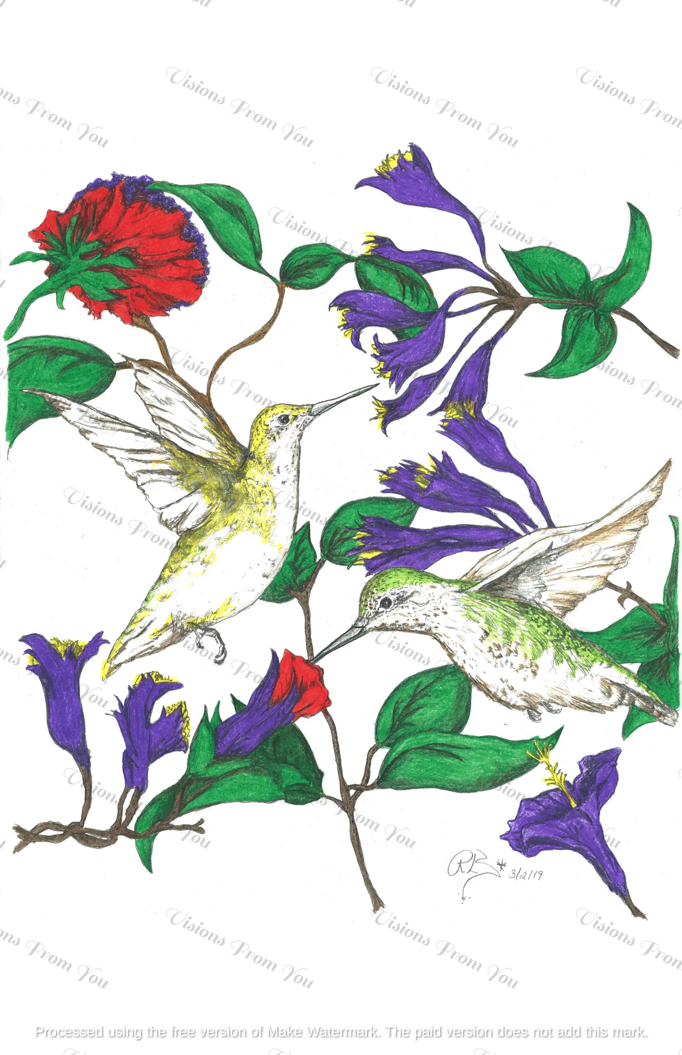 Humming Birds
